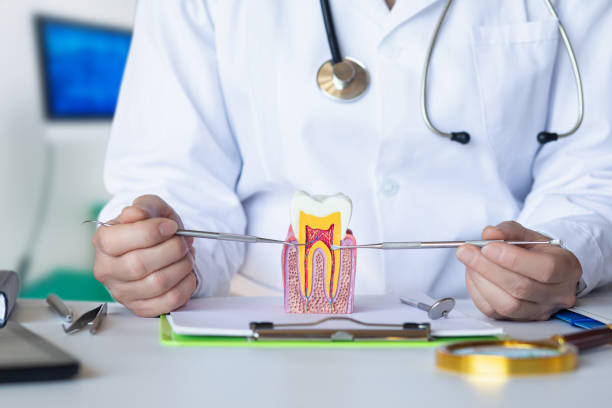 Best Mobile Emergency Dentist in Westbrook, ME